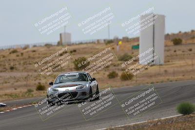 media/May-03-2025-Lucky Dog Racing (Sat) [[206de64b9d]]/Turn 6 (150pm-230pm)/